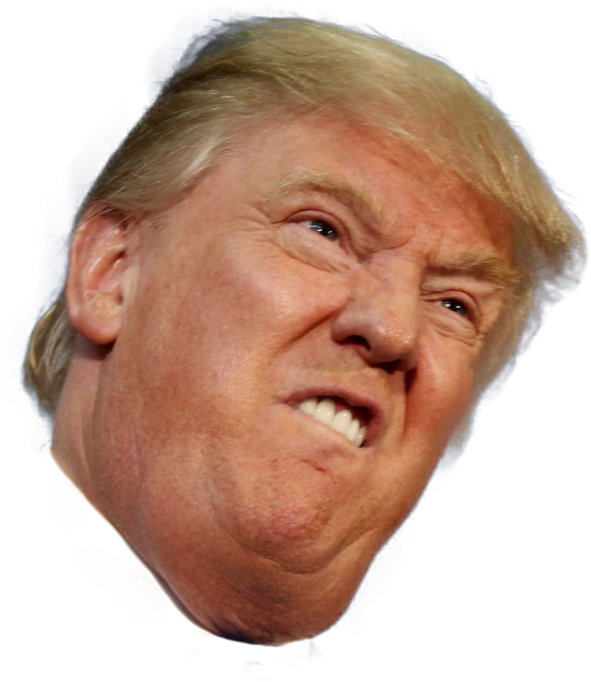 Donald Trump Png Available In Different Size #38892 - Free Icons and