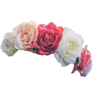   flower-crown-png-ima