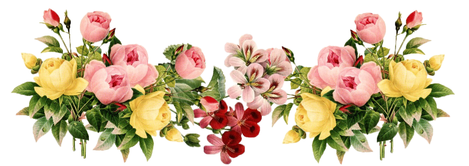 Flower Clip Art #28715 - Free Icons and PNG Backgrounds