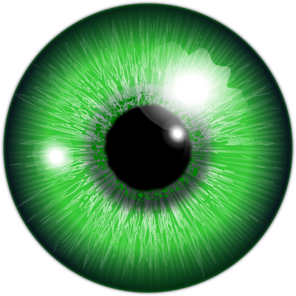 Green eye clipart png #42317 - Free Icons and PNG Backgrounds