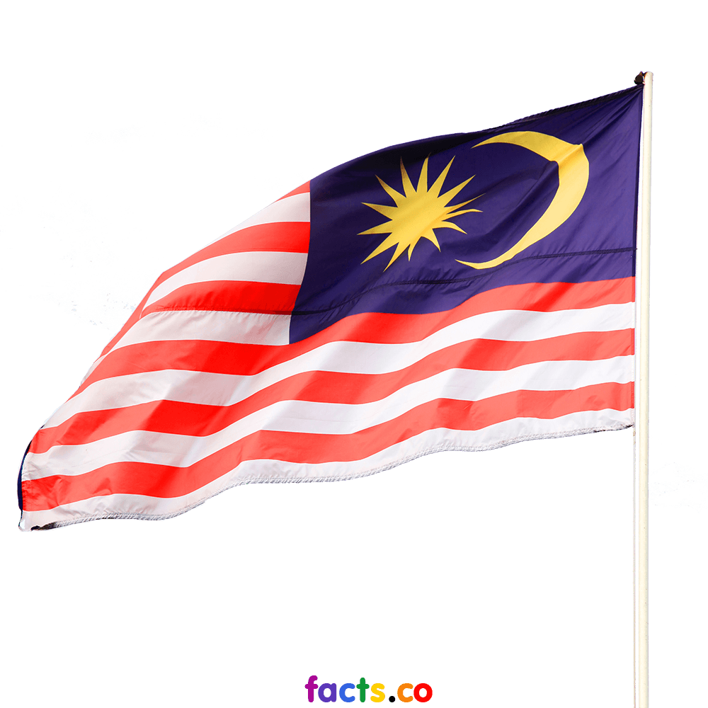 Malaysia Flag Transparent PNG Pictures - Free Icons and PNG Backgrounds