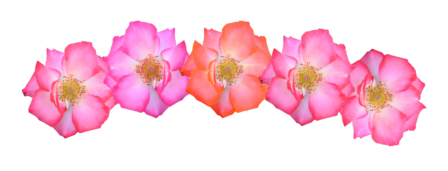 Flower Crown Transparent PNG Pictures - Free Icons and PNG Backgrounds