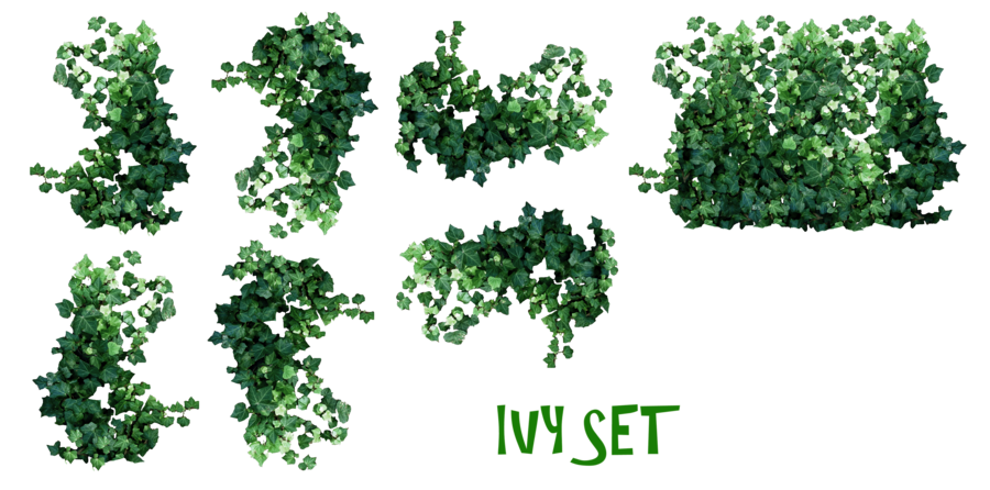 Vines Transparent PNG Pictures - Free Icons and PNG Backgrounds