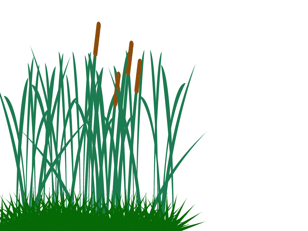 Tall Grass Transparent PNG Pictures - Free Icons and PNG Backgrounds