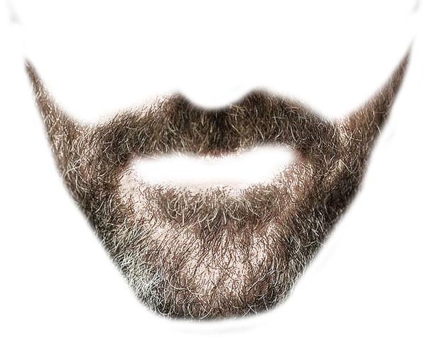 Beard Transparent PNG Pictures - Free Icons and PNG Backgrounds