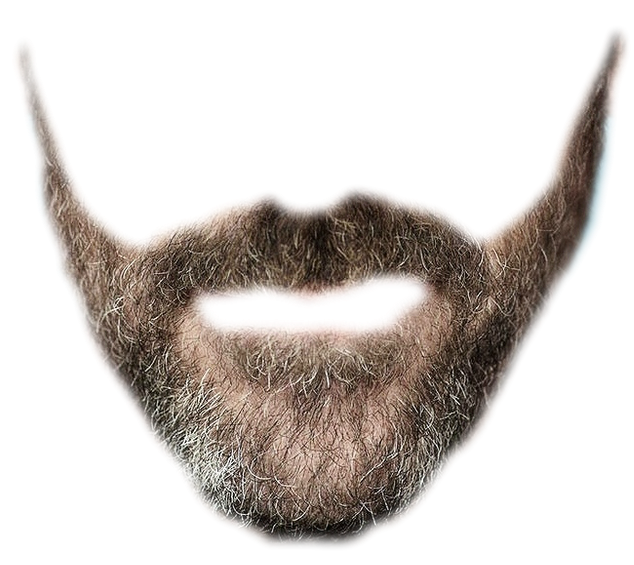 Beard Transparent PNG Pictures - Free Icons and PNG Backgrounds