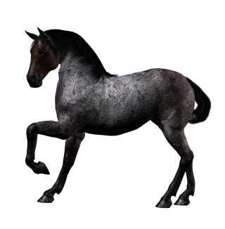 3d Horse Animal Png PNG images