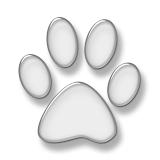 Cat Print 3d Animal Png PNG images