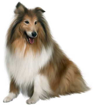 Dog 3d Animal Png PNG images