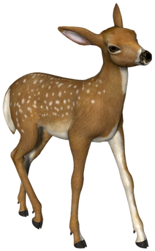 Gazelle 3d Animal Png PNG images