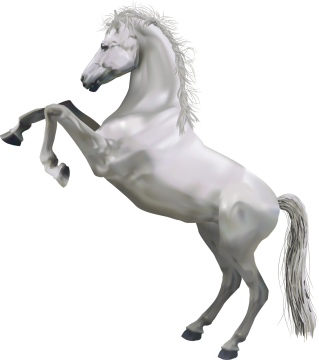 White Horse 3d Animal Png PNG images