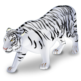 White Tiger 3d Animal Png PNG images