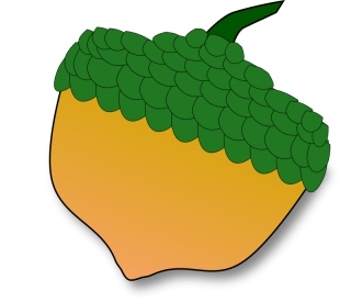 Acorn Clipart PNG images