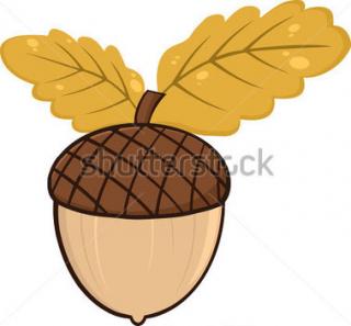 Download Acorn Picture PNG images