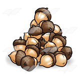 Transparent Acorn Background Png PNG images