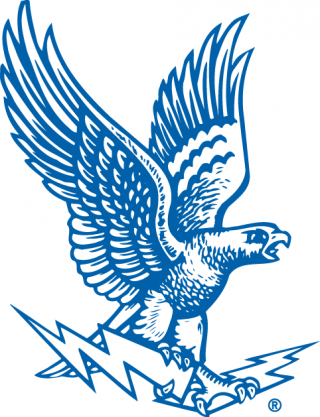 air force logo png