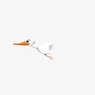  Long Beak Albatross Transparent Pictures PNG images