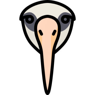 Albatross Head And Beak Images PNG images