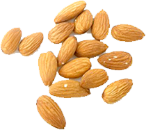 Almond Png High-quality Download PNG images
