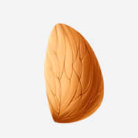 Almond Png Image PNG images