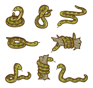Anaconda Visual Images In Different Drawings PNG images