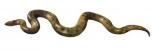 Green Scary Anaconda Images PNG images