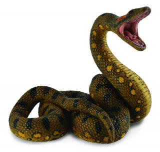 The Gaping Anaconda Attack Last Designs Pictures PNG images