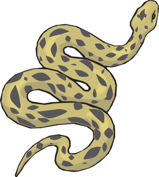 Yellow-Spotted Anaconda Pictures PNG images