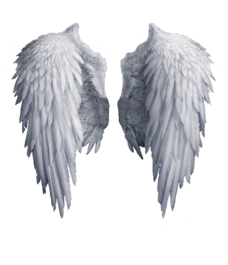 Images Angel Free Download PNG images