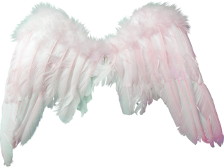 Clipart Angel PNG PNG images