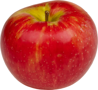Apple Fruit Transparent PNG PNG images