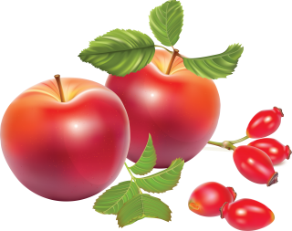 Apple Trees Fruits Clipart PNG images
