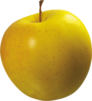 Apple Yellow Transparent Clipart PNG images