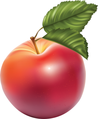 Transparent Apple Leaf Picture PNG Download PNG images