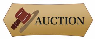 Free Auction Vectors Icon Download PNG images