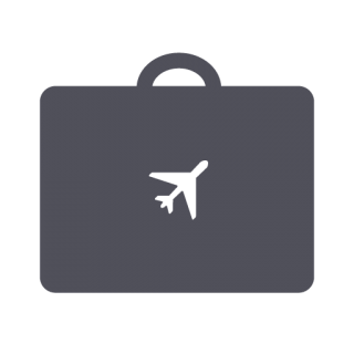 Icons Png Download Baggage PNG images