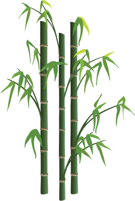 Bamboo Tree Png PNG images