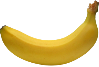 Free Download Of Banana Icon Clipart PNG Transparent Background, Free  Download #27784 - FreeIconsPNG