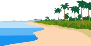 Palms, Beach, Sea, Sand Png PNG images