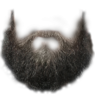 Beard PNG, Beard Transparent Background - FreeIconsPNG