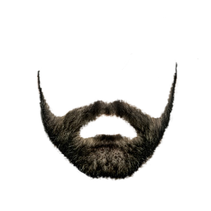 Beard No Background PNG images