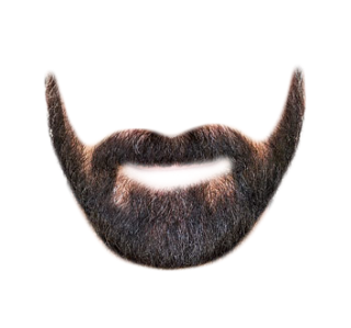 Download Picture Beard PNG images
