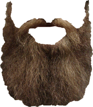 PNG Transparent Beard PNG images