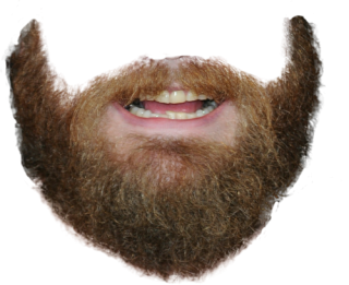 Download Daring Beard - Face Roblox Png Cool PNG Image with No Background 