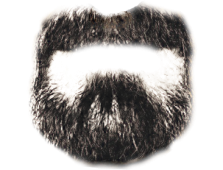 Beard PNG, Beard Transparent Background - FreeIconsPNG