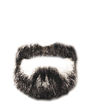 Beard PNG, Beard Transparent Background - FreeIconsPNG