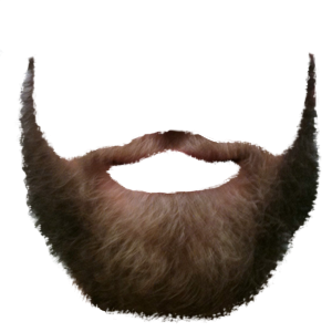 Beard PNG Photo PNG images