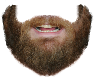 Beard Png Clipart Download PNG images