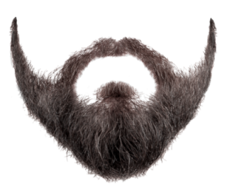 Png Free Beard Vector Download PNG images