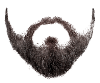 Beard PNG Photo PNG images